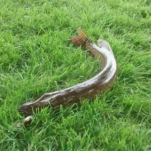 Meet your Posher, Wesley